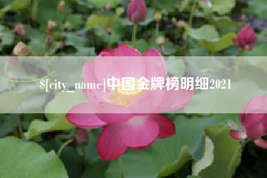 淮北中国金牌榜明细2021