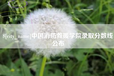 淮北中国消防救援学院录取分数线公布