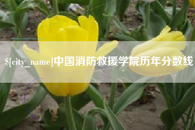 淮北中国消防救援学院历年分数线
