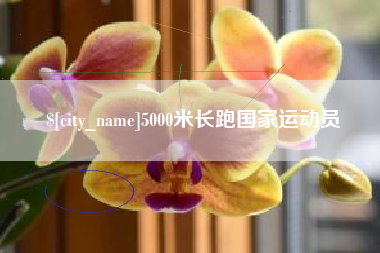 淮北5000米长跑国家运动员