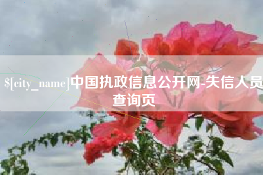 淮北中国执政信息公开网-失信人员查询页