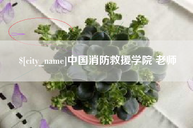 淮北中国消防救援学院 老师