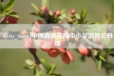 淮北中国消防官网中小学消防公开课