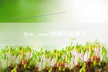 淮北中国几金牌了