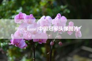 淮北中国冠军头像图片