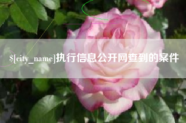 淮北执行信息公开网查到的案件