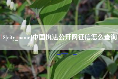 淮北中国执法公开网征信怎么查询
