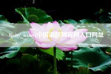 淮北中国消防网官网入口网址