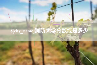 淮北消防大学分数线是多少