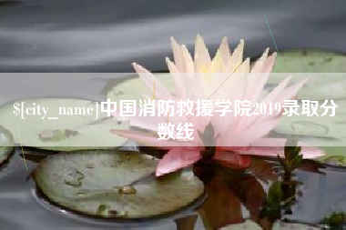 淮北中国消防救援学院2019录取分数线