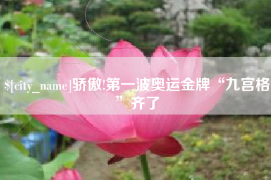淮北骄傲!第一波奥运金牌“九宫格”齐了