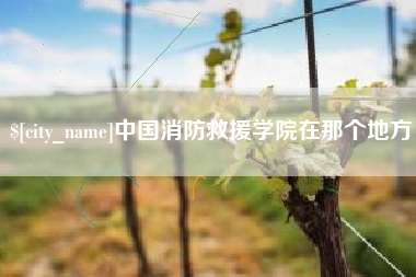 淮北中国消防救援学院在那个地方