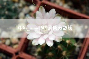 淮北2021消防分数线