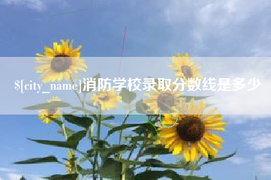 淮北消防学校录取分数线是多少