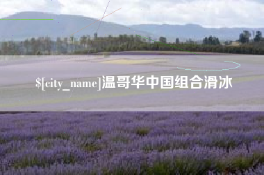淮北温哥华中国组合滑冰