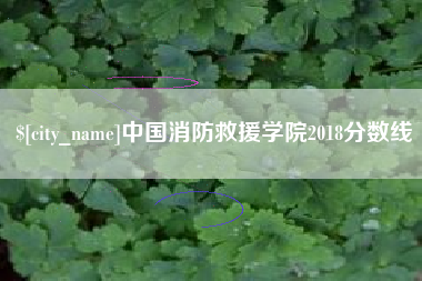 淮北中国消防救援学院2018分数线