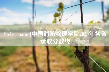 淮北中国消防救援学院2020年各省录取分数线
