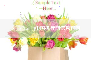 淮北中国执行网信息官网