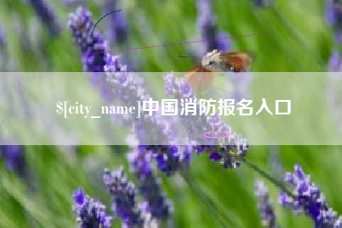 淮北中国消防报名入口