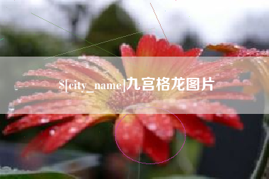 淮北九宫格龙图片