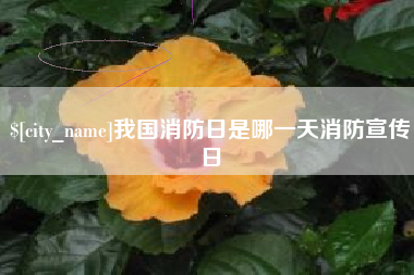 淮北我国消防日是哪一天消防宣传日