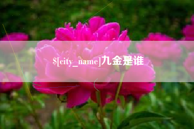 淮北九金是谁
