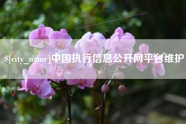 淮北中国执行信息公开网平台维护