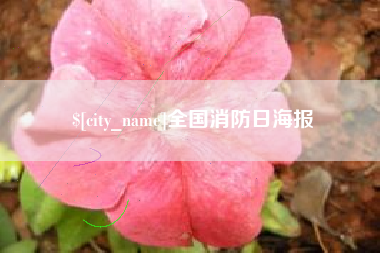 淮北全国消防日海报