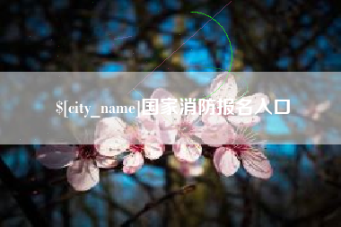 淮北国家消防报名入口