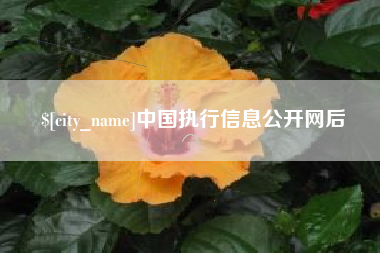 淮北中国执行信息公开网后