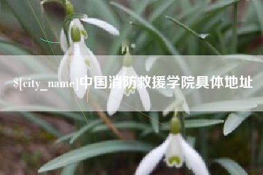 淮北中国消防救援学院具体地址