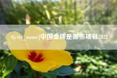 淮北中国金牌是哪些项目2021