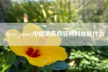 淮北中国消防网官网网址是什么