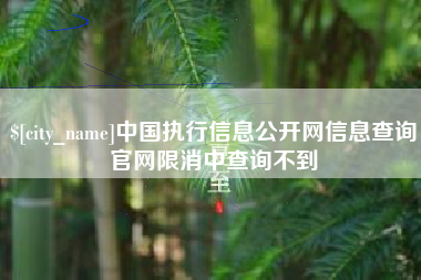 淮北中国执行信息公开网信息查询官网限消中查询不到