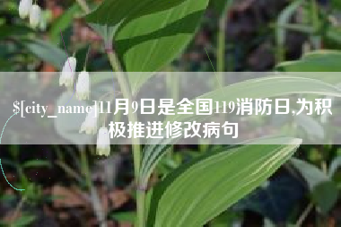 淮北11月9日是全国119消防日,为积极推进修改病句