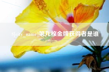 淮北第九枚金牌获得者是谁