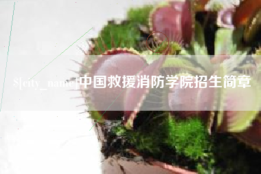 淮北中国救援消防学院招生简章