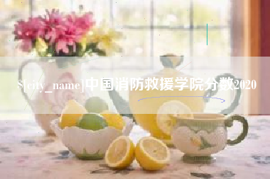 淮北中国消防救援学院分数2020