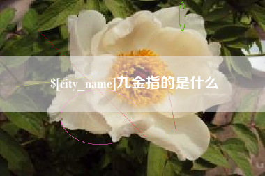 淮北九金指的是什么