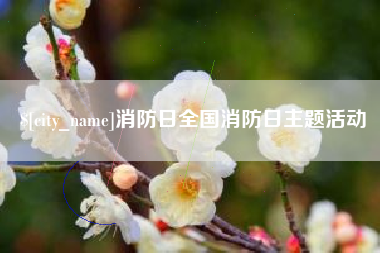 淮北消防日全国消防日主题活动