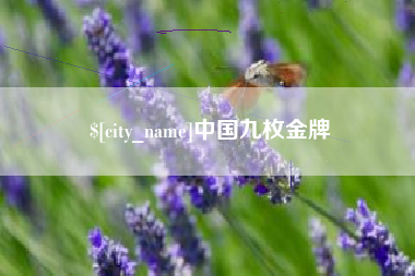 淮北中国九枚金牌