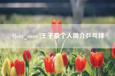 淮北王子豪个人简介乒乓球