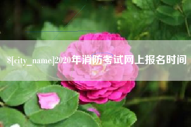 淮北2020年消防考试网上报名时间