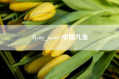 淮北中国九金
