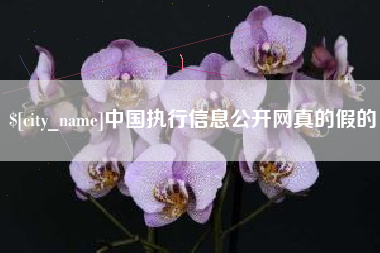 淮北中国执行信息公开网真的假的