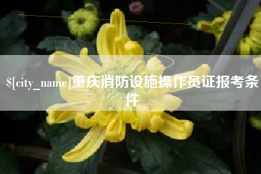 淮北重庆消防设施操作员证报考条件
