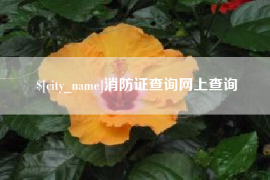 淮北消防证查询网上查询