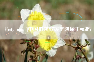淮北中国消防救援学院属于985吗