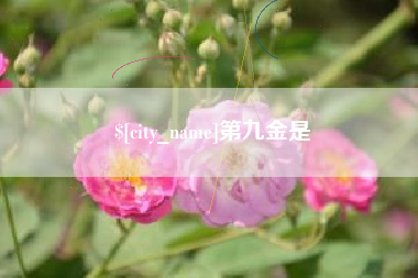 淮北第九金是