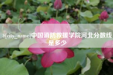 淮北中国消防救援学院河北分数线是多少